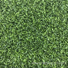 Plastic Artificial Grass Carpet for Golf Course